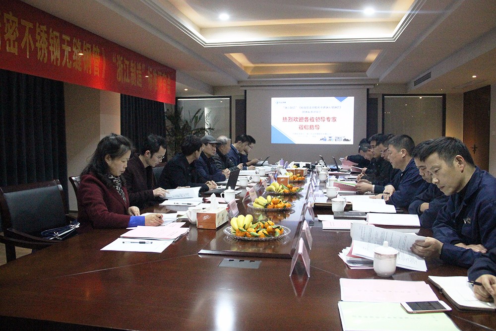 核級儀表用精密不銹鋼無縫鋼管浙江制造標準評審會 (2).JPG