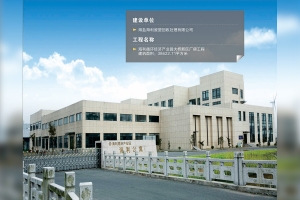 海利循環(huán)經(jīng)濟(jì)產(chǎn)業(yè)園大橋新區(qū)廠房工程